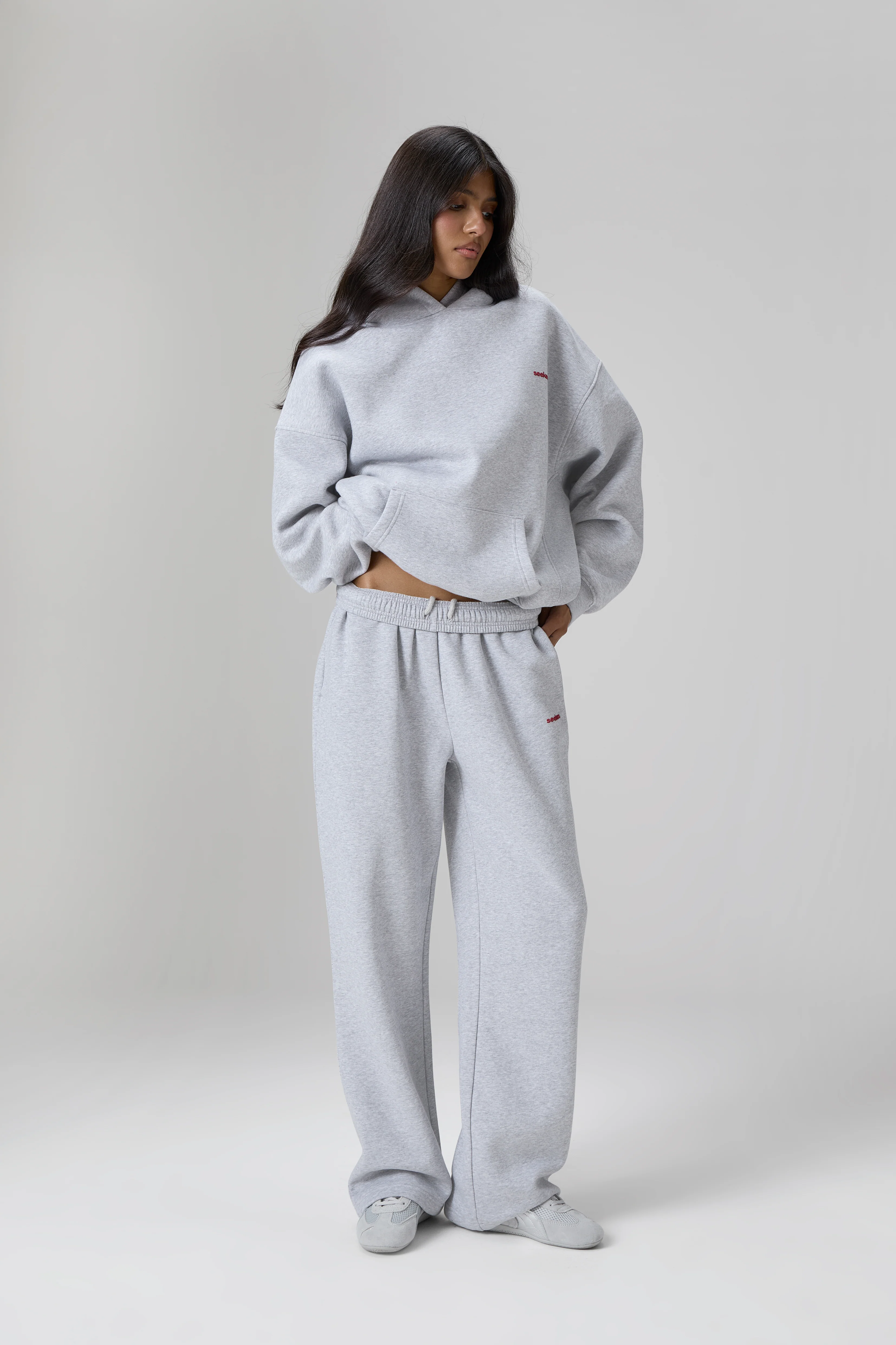 Seekers Brand Hoodie in Grey Melange - Image 4